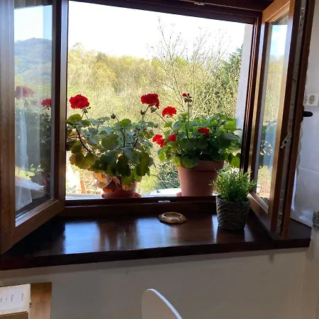 Vakantiehuis Casa Elena Con Wifi Y Parking Gratuito