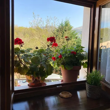 Hébergement de vacances Casa Elena Con Wifi Y Parking Gratuito *