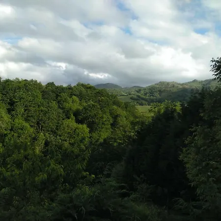 Casa Elena Con Wifi Y Parking Gratuito * Onís