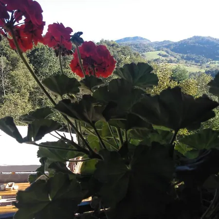 Casa Elena Con Wifi Y Parking Gratuito Hébergement de vacances