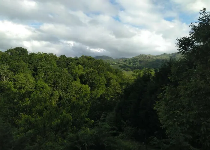 Casa Elena Con Wifi Y Parking Gratuito * Onís